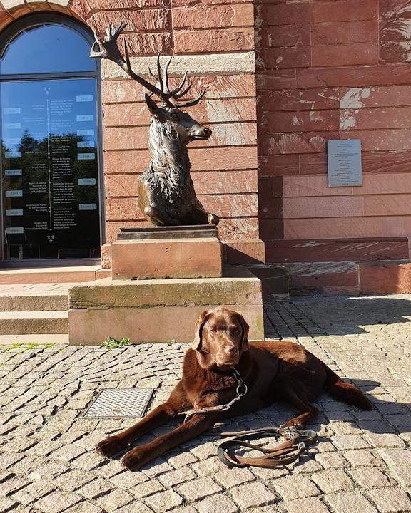 Gasthof Jagdschloss Platte